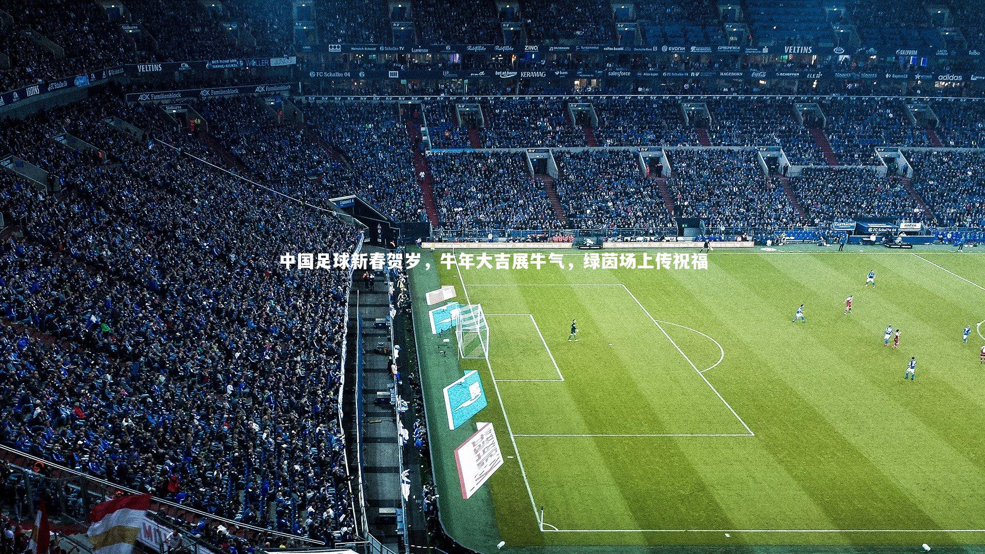 中国足球新春贺岁,牛年大吉展牛气,绿茵场上传祝福